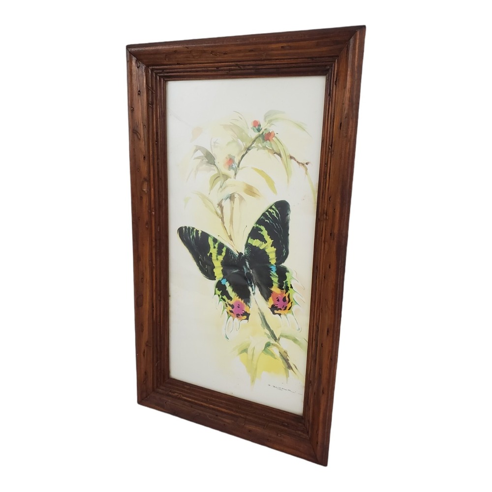 Vintage Butterfly Watercolor Painting Framed MCM Bohemian Cottagecore